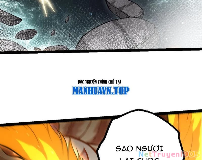 Chuyển Sinh Thành Liễu Đột Biến Chapter 440 - 12