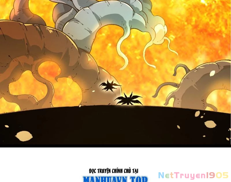 Chuyển Sinh Thành Liễu Đột Biến Chapter 441 - 2