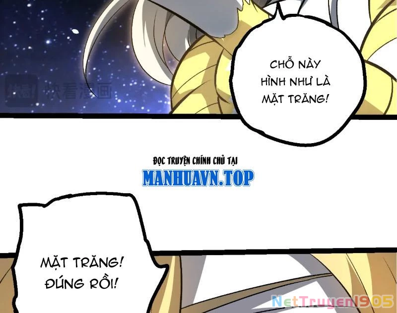 Chuyển Sinh Thành Liễu Đột Biến Chapter 441 - 12