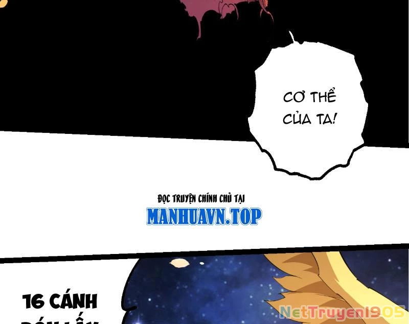 Chuyển Sinh Thành Liễu Đột Biến Chapter 443 - 5