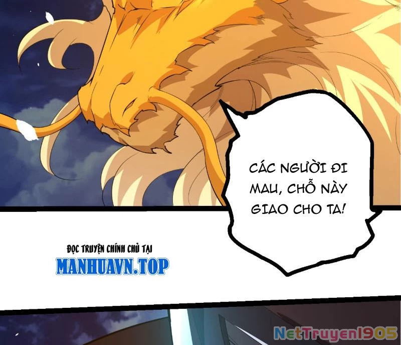 Chuyển Sinh Thành Liễu Đột Biến Chapter 443 - 51