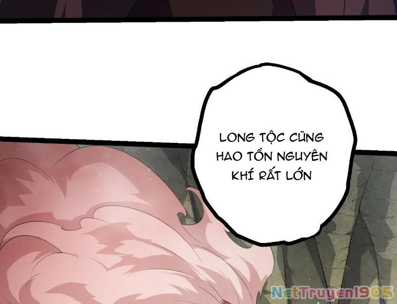 Chuyển Sinh Thành Liễu Đột Biến Chapter 443 - 85