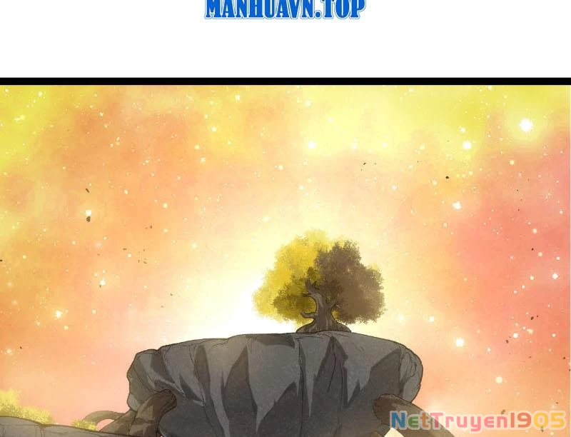 Chuyển Sinh Thành Liễu Đột Biến Chapter 436 - 77