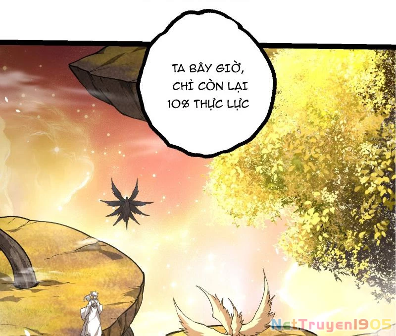 Chuyển Sinh Thành Liễu Đột Biến Chapter 437 - 7