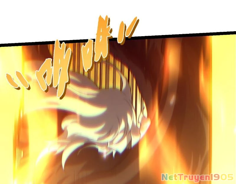 Chuyển Sinh Thành Liễu Đột Biến Chapter 438 - 3