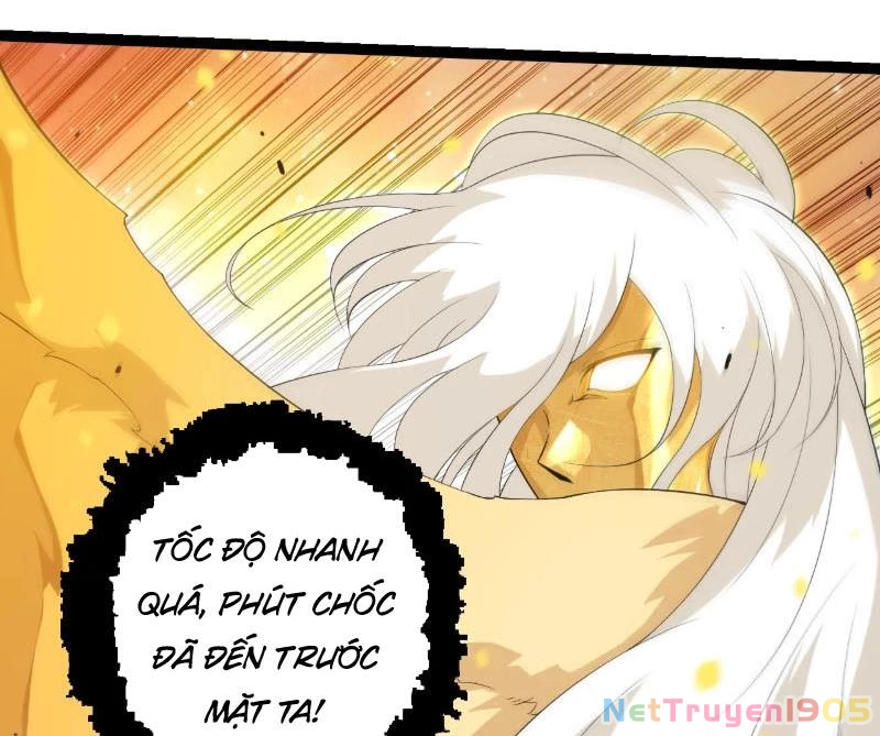 Chuyển Sinh Thành Liễu Đột Biến Chapter 439 - 70