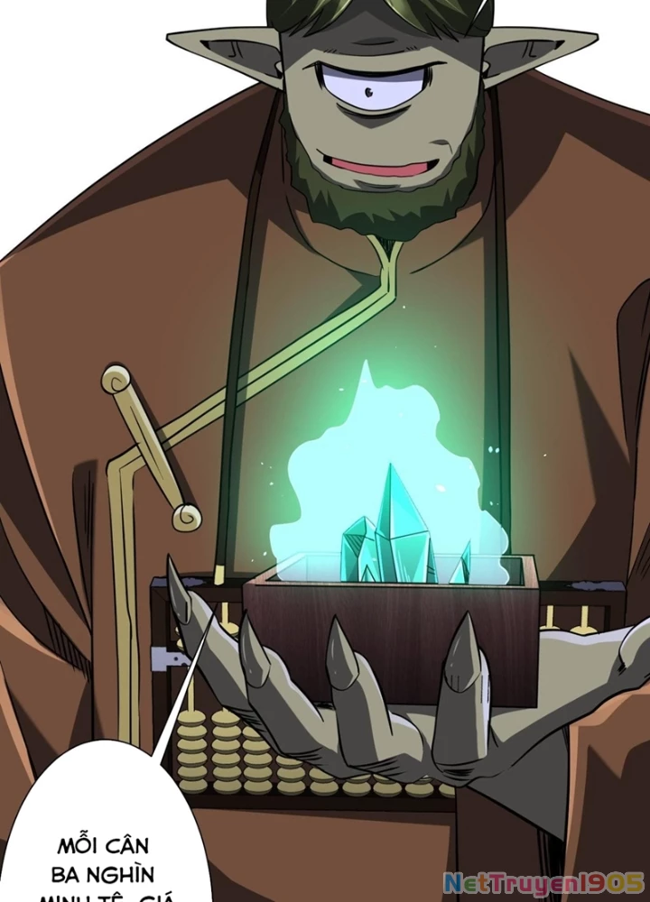 Bắt Đầu Với Trăm Vạn Minh Tệ Chapter 270 - 11