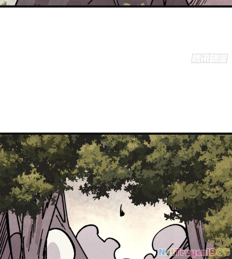 Vạn Cổ Tối Cường Tông Chapter 460 - 19