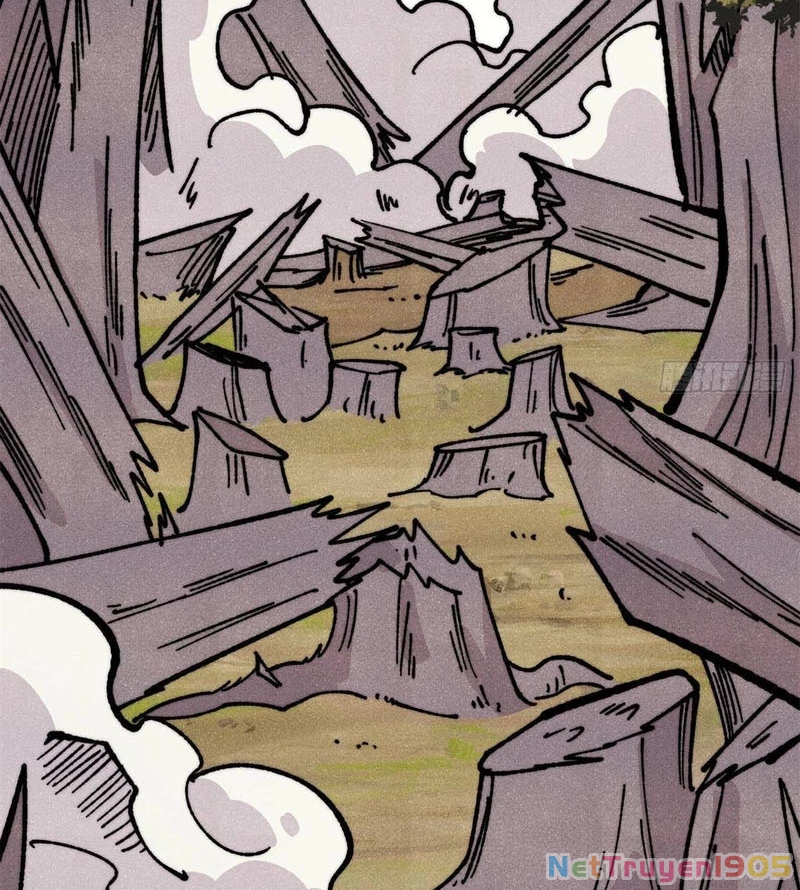 Vạn Cổ Tối Cường Tông Chapter 460 - 20