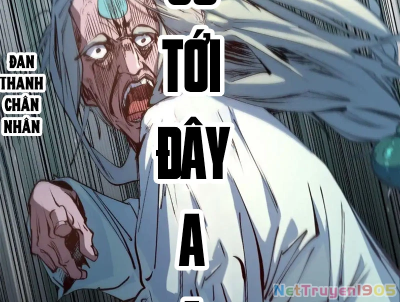 Đỉnh Cấp Khí Vận, Lặng Lẽ Tu Luyện Ngàn Năm Chapter 236 - 2