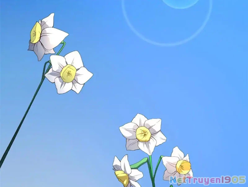 Đỉnh Cấp Khí Vận, Lặng Lẽ Tu Luyện Ngàn Năm Chapter 236 - 17