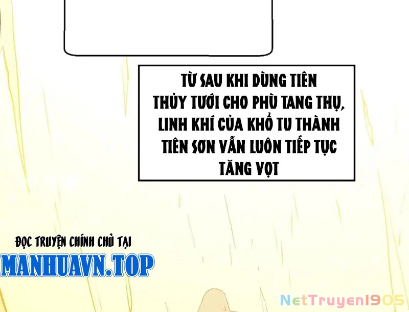 Đỉnh Cấp Khí Vận, Lặng Lẽ Tu Luyện Ngàn Năm Chapter 236 - 55