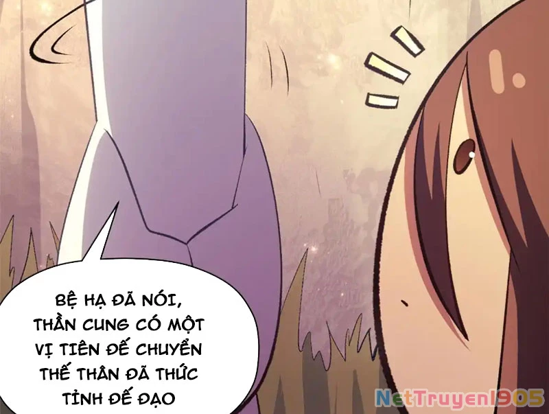 Đỉnh Cấp Khí Vận, Lặng Lẽ Tu Luyện Ngàn Năm Chapter 236 - 94