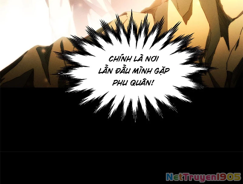 Đỉnh Cấp Khí Vận, Lặng Lẽ Tu Luyện Ngàn Năm Chapter 235 - 22