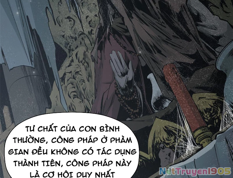 Đỉnh Cấp Khí Vận, Lặng Lẽ Tu Luyện Ngàn Năm Chapter 235 - 45