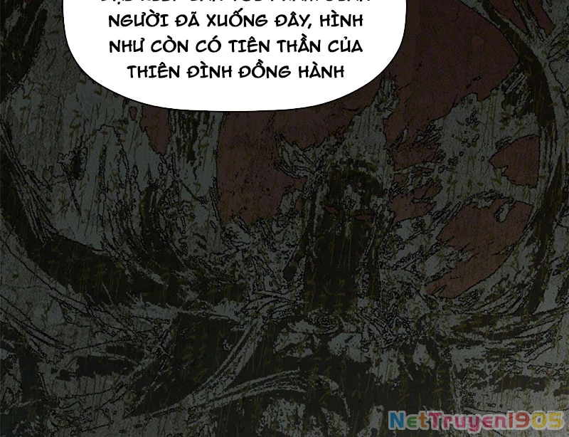 Đỉnh Cấp Khí Vận, Lặng Lẽ Tu Luyện Ngàn Năm Chapter 235 - 84