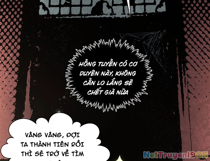 Đỉnh Cấp Khí Vận, Lặng Lẽ Tu Luyện Ngàn Năm Chapter 235 - 99