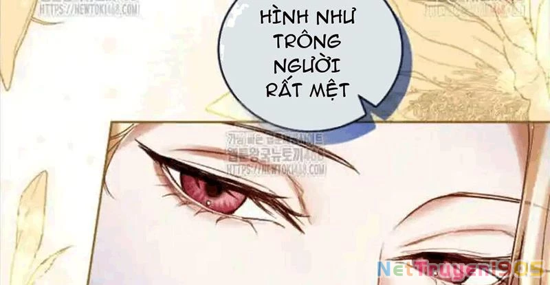 Tôi Sẽ Bị Trừ Khử Cùng Hoàng Đế Chapter 135 - 45