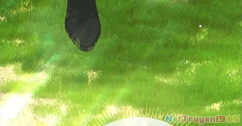 Tôi Sẽ Bị Trừ Khử Cùng Hoàng Đế Chapter 135 - 145