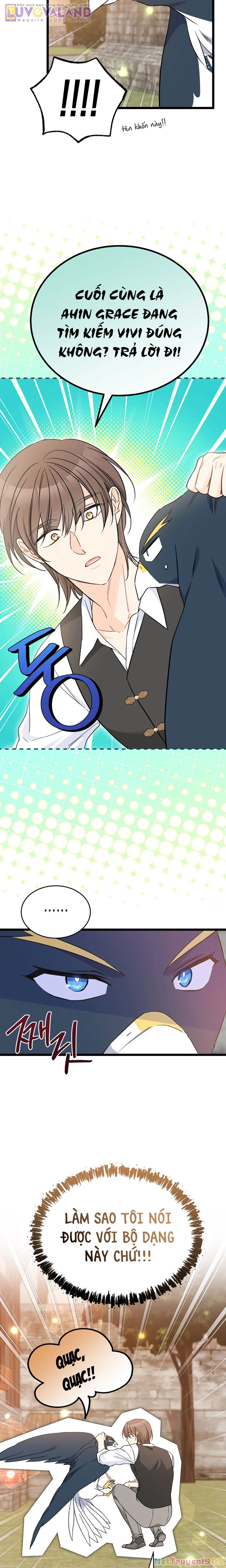 Mối Liên Kết Giữa Báo Đen Và Bé Thỏ Chapter 192 - 5