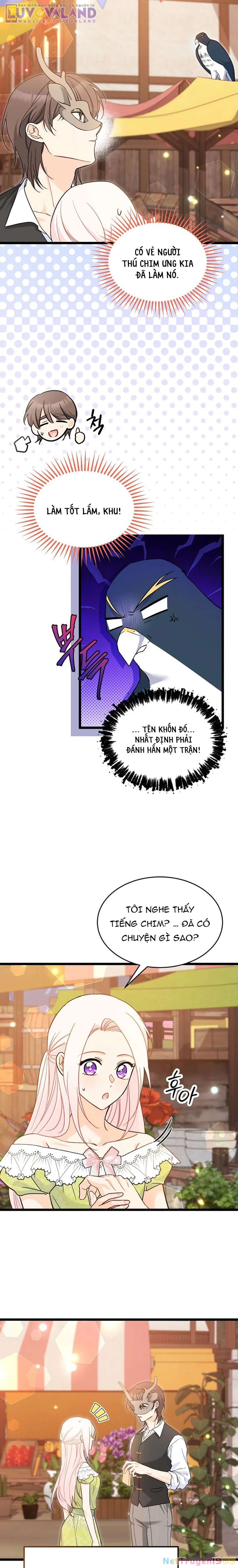 Mối Liên Kết Giữa Báo Đen Và Bé Thỏ Chapter 193 - 11