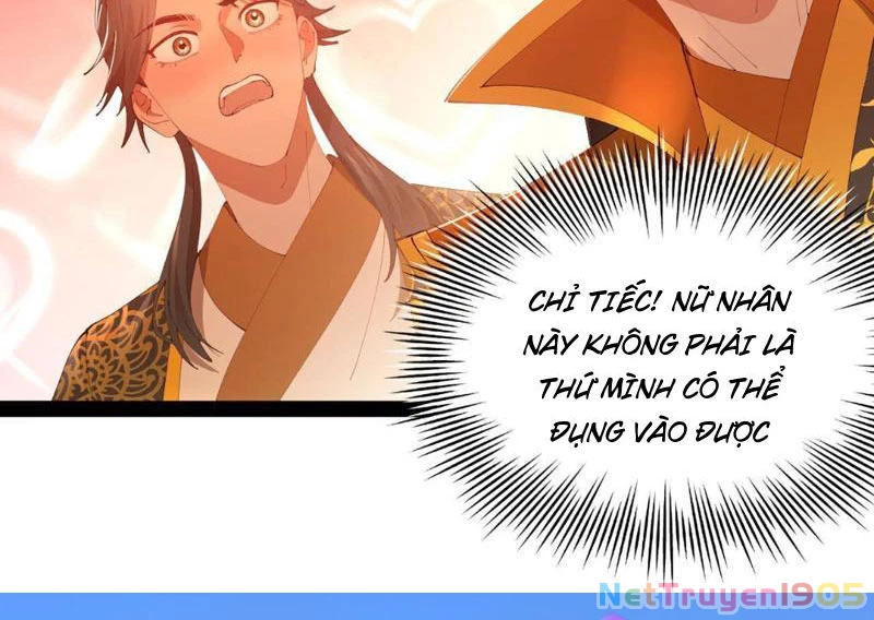 Chàng Rể Mạnh Nhất Lịch Sử Chapter 338 - 114