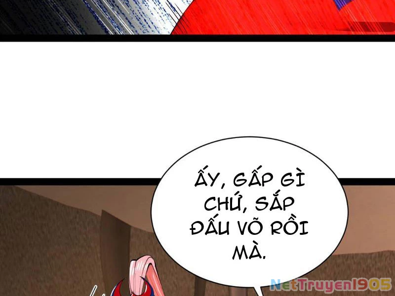 Chàng Rể Mạnh Nhất Lịch Sử Chapter 339 - 29