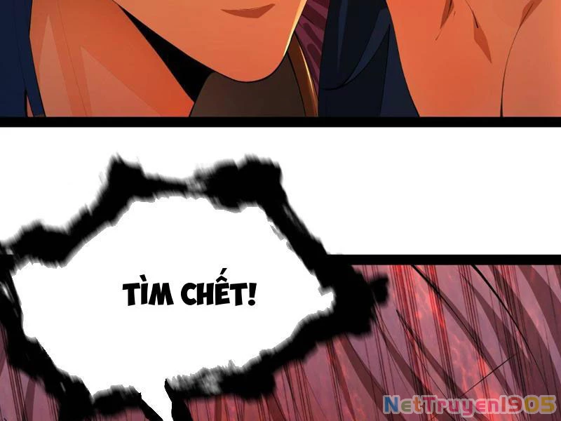 Chàng Rể Mạnh Nhất Lịch Sử Chapter 339 - 72