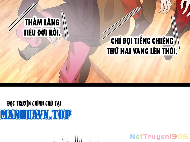 Chàng Rể Mạnh Nhất Lịch Sử Chapter 339 - 82