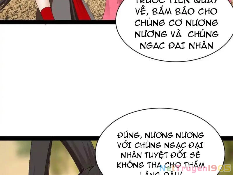 Chàng Rể Mạnh Nhất Lịch Sử Chapter 340 - 65