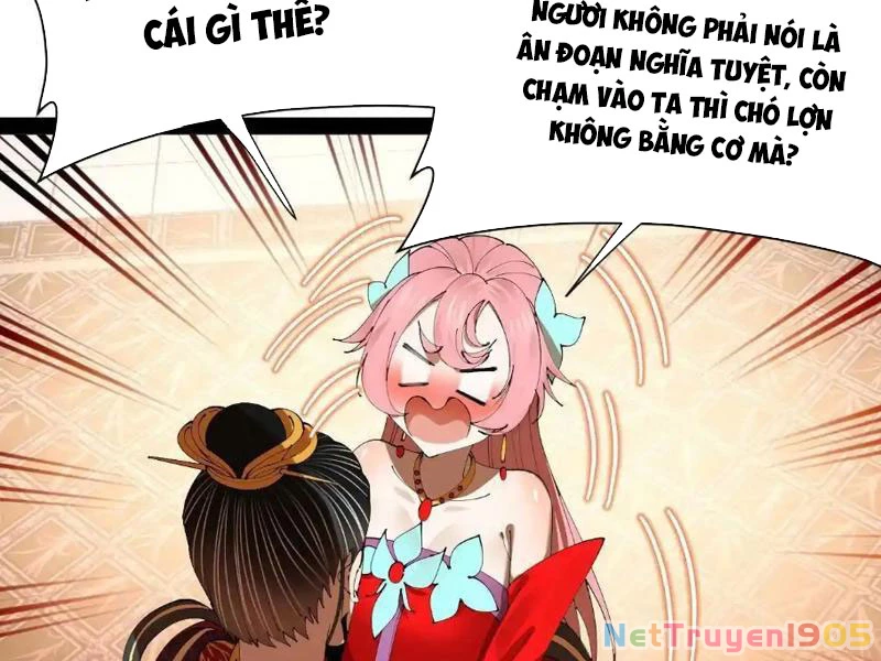 Chàng Rể Mạnh Nhất Lịch Sử Chapter 340 - 84