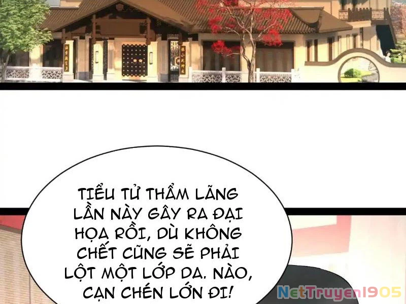 Chàng Rể Mạnh Nhất Lịch Sử Chapter 341 - 2