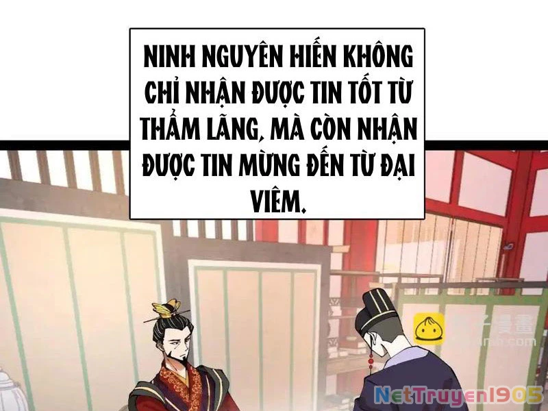 Chàng Rể Mạnh Nhất Lịch Sử Chapter 341 - 23