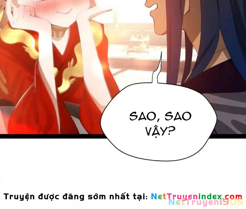 Chàng Rể Mạnh Nhất Lịch Sử Chapter 341 - 47