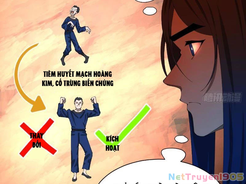 Chàng Rể Mạnh Nhất Lịch Sử Chapter 336 - 2