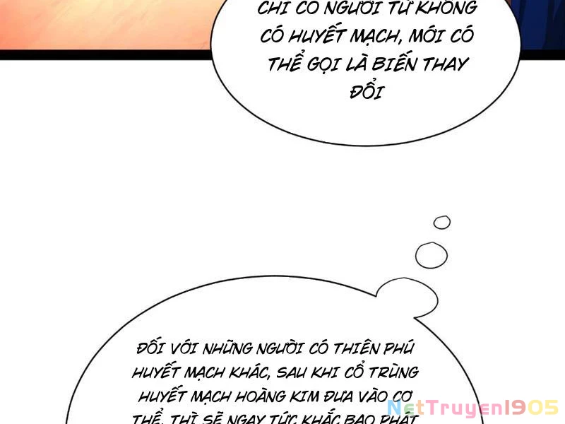 Chàng Rể Mạnh Nhất Lịch Sử Chapter 336 - 3