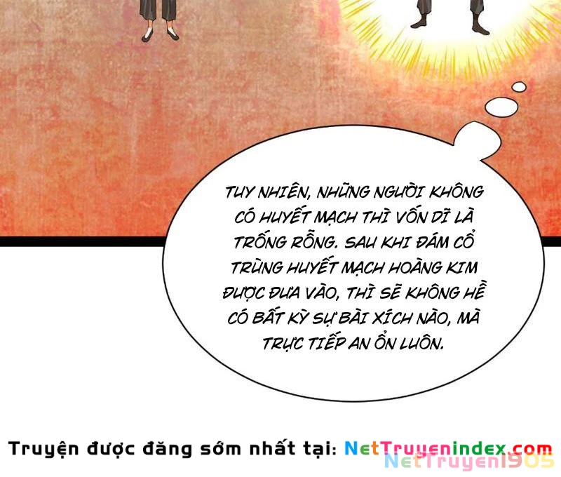 Chàng Rể Mạnh Nhất Lịch Sử Chapter 336 - 5