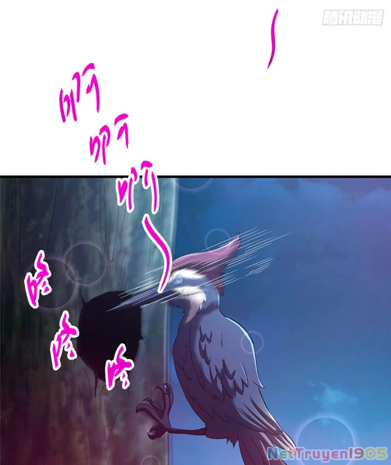 Chưởng Môn Khiêm Tốn Chút Chapter 563 - 63