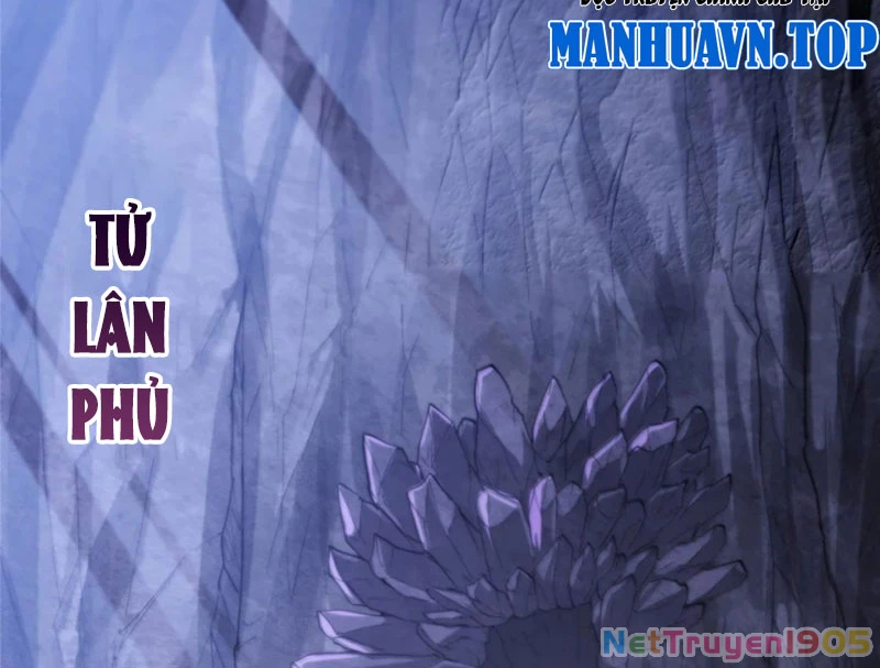 Chưởng Môn Khiêm Tốn Chút Chapter 569 - 100